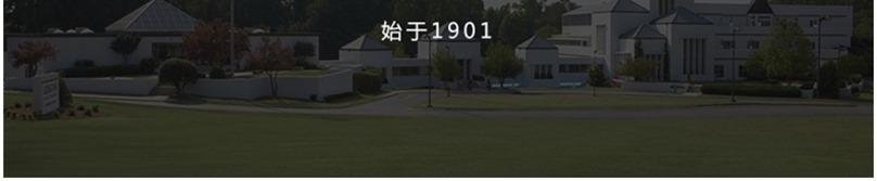 931-882-01 Palmero软包无扶手餐椅