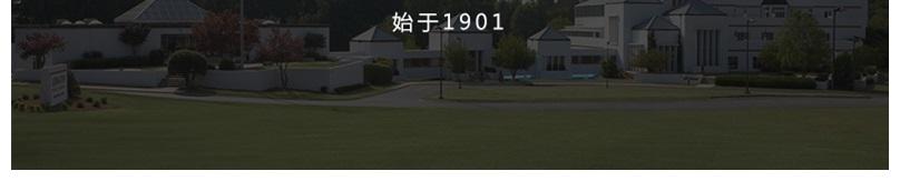 930-883-01 Glenwild软体扶手餐椅