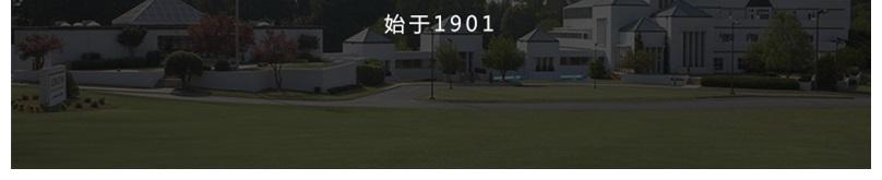930-883-430671 Glenwild体扶手餐椅