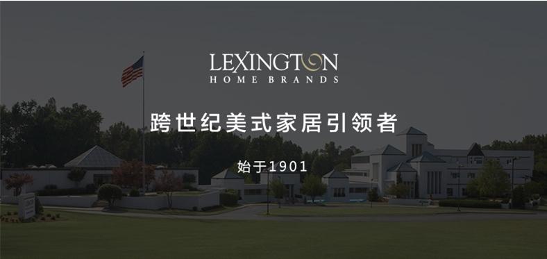 0619-885-01金斯顿 扶手椅